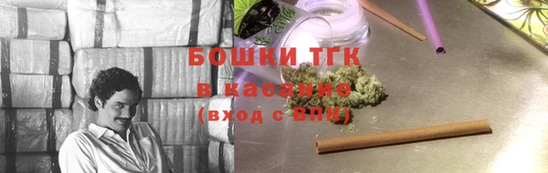 2c-b Горнозаводск